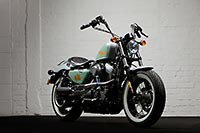 Custom Harley