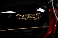 Triumph Bonneville Custom